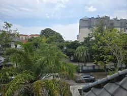 MARIAM WAY (D17), Terrace #540978831